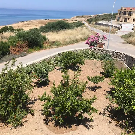 Aygurus In Esentepe, Girne Kharcha